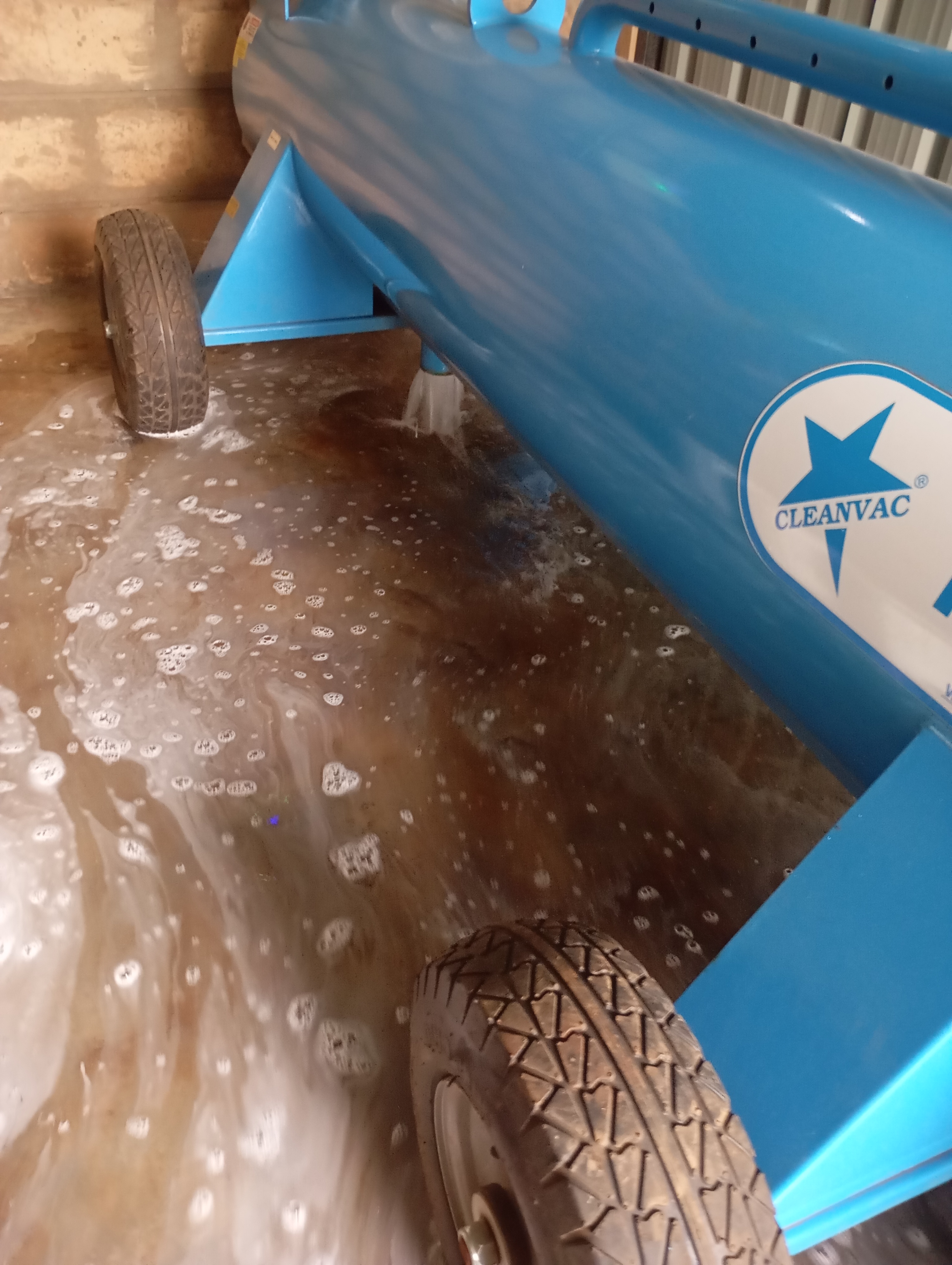Carpet Cleaning - Image 6